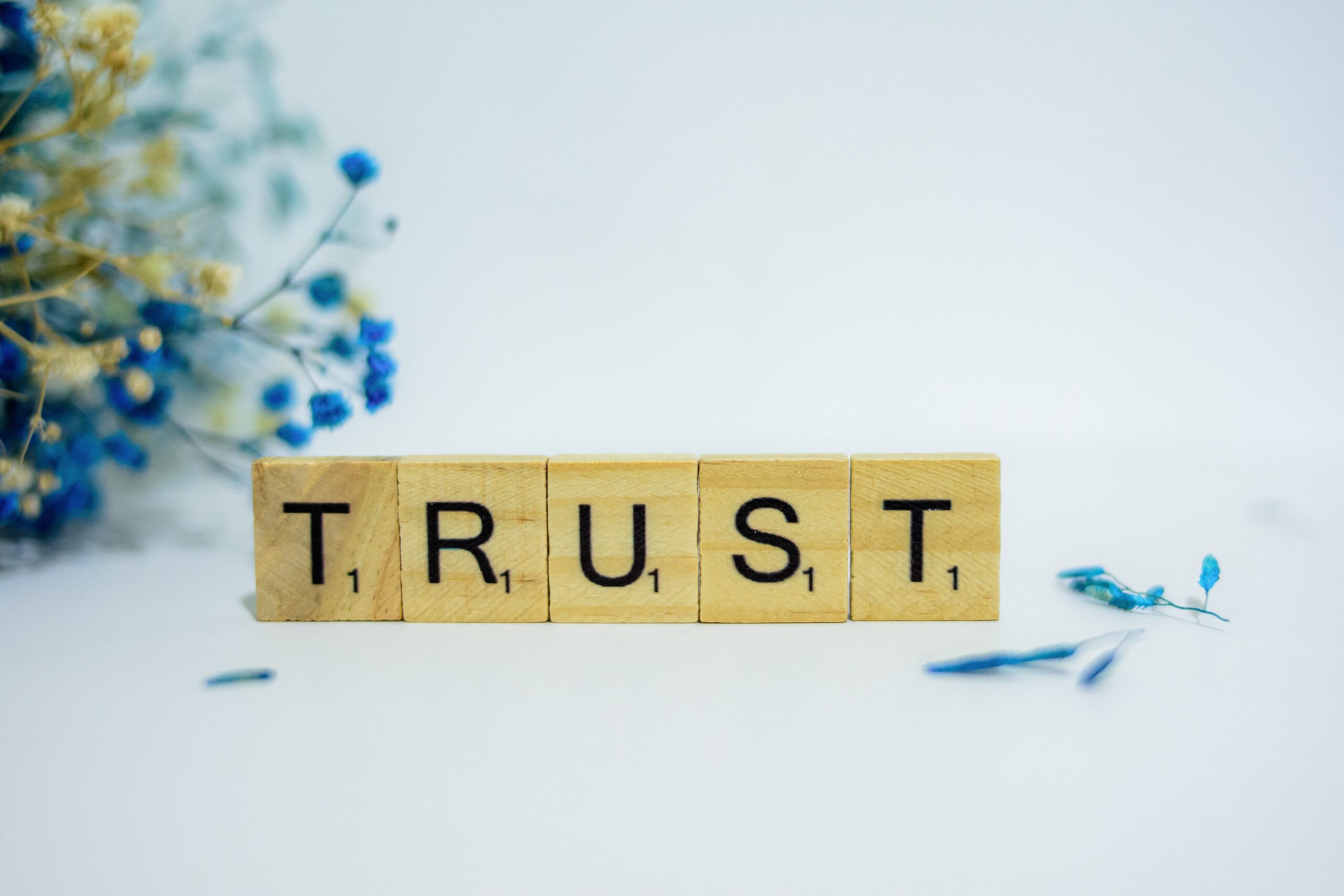 Working With Stakeholders: Trust and Collaborate